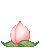pink of flower with cat jumping out  animation