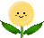 yellow flower  animation