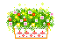 box of flowers  animation
