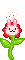 little flower  animation