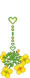 yellow flowers animation