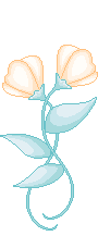 cream  animation