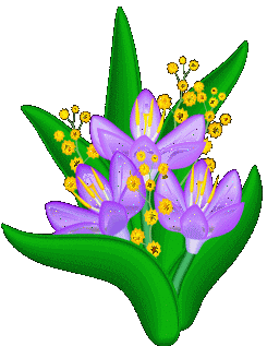 lilac flowers  animation