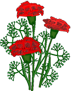  red carnations animation