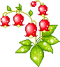 lilly bells  animation