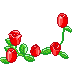 roses  animation