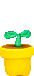  yellow flower in a yellow potanimation