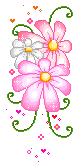 pink flowers  animation