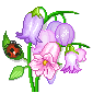  pink hairbells with a ladybird lillies animation