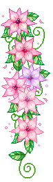 pink spray of flowers  animation