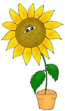 yellow talking sunflower  animation
