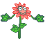 flower  animation