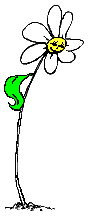 waving daisy  animation