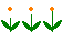 white spinning flowers  animation