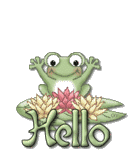 hello frog  animation