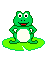 frog climbing onto lillypad  animation