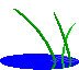 dragonfly  animation