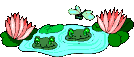 frogs in pond  animation