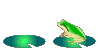 frog hopping  animation