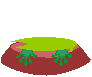 pop up frog  animation