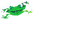  happy frog animation