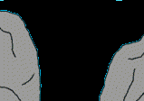 frog in the rocks  animation