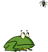  frog catching spider animation