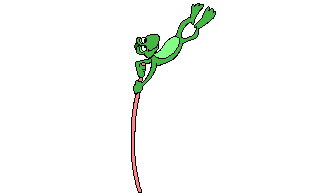 frog swinging  animation