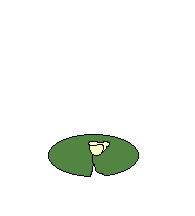  frog climbs on waterlilly leaf animation