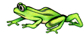 tadpole turns into a frog  animation