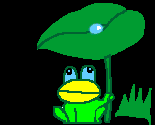 frog under a leaf catching a dew drop  animation
