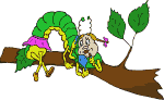 catterpillar on a branch   animation