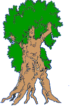 lady tree   animation