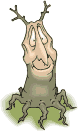 old tree   animation