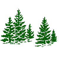 glittering christmas trees  animation