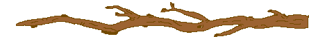 branch blossoming   animation