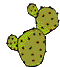 cacti   animation