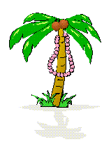 cocunut tree  animation