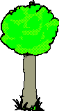  apple tree and serpent  animation