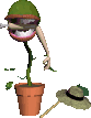fly trap plant eaten a man  animation