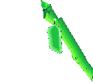 butterfly metamorphing  animation