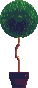 ornamental tree in pot   animation