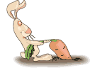 rabbit pulling a carrot  animation