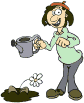 watering flowers  animation