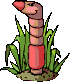 earth worm  animation