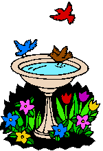 bird bath  animation