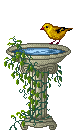  birdbath animation