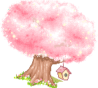 pink blossom  animation