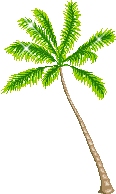 palm tree  animation