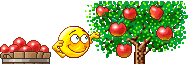 picking apples  animation